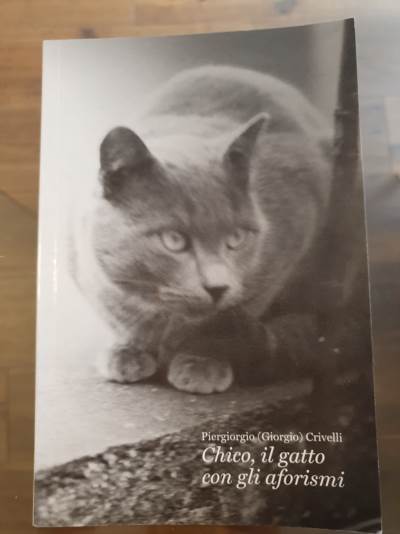 Chico, il gatto con gli aforismi