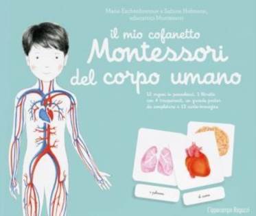 Il mio cofanetto Montessori del corpo umano